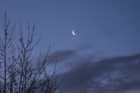 Venus Mond und Jupiter am Morgenhimmel - Reiner Hartmann